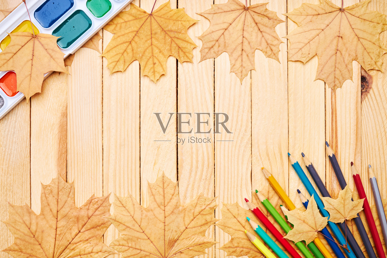 回到学校的概念。教育和学习文具放在木桌上。以上的观点。用黄色的枫叶装饰照片摄影图片