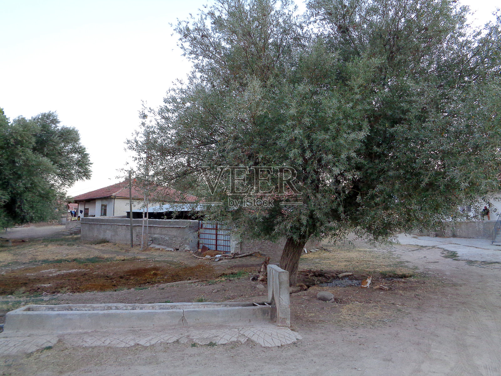 草原风景照片摄影图片