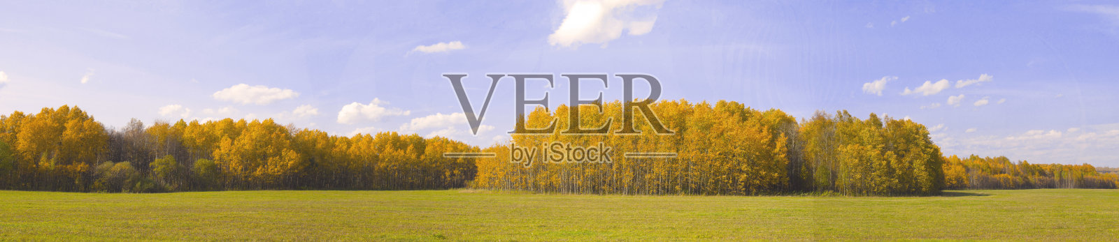 秋天的自然全景。秋天黄色的森林和田野。照片摄影图片