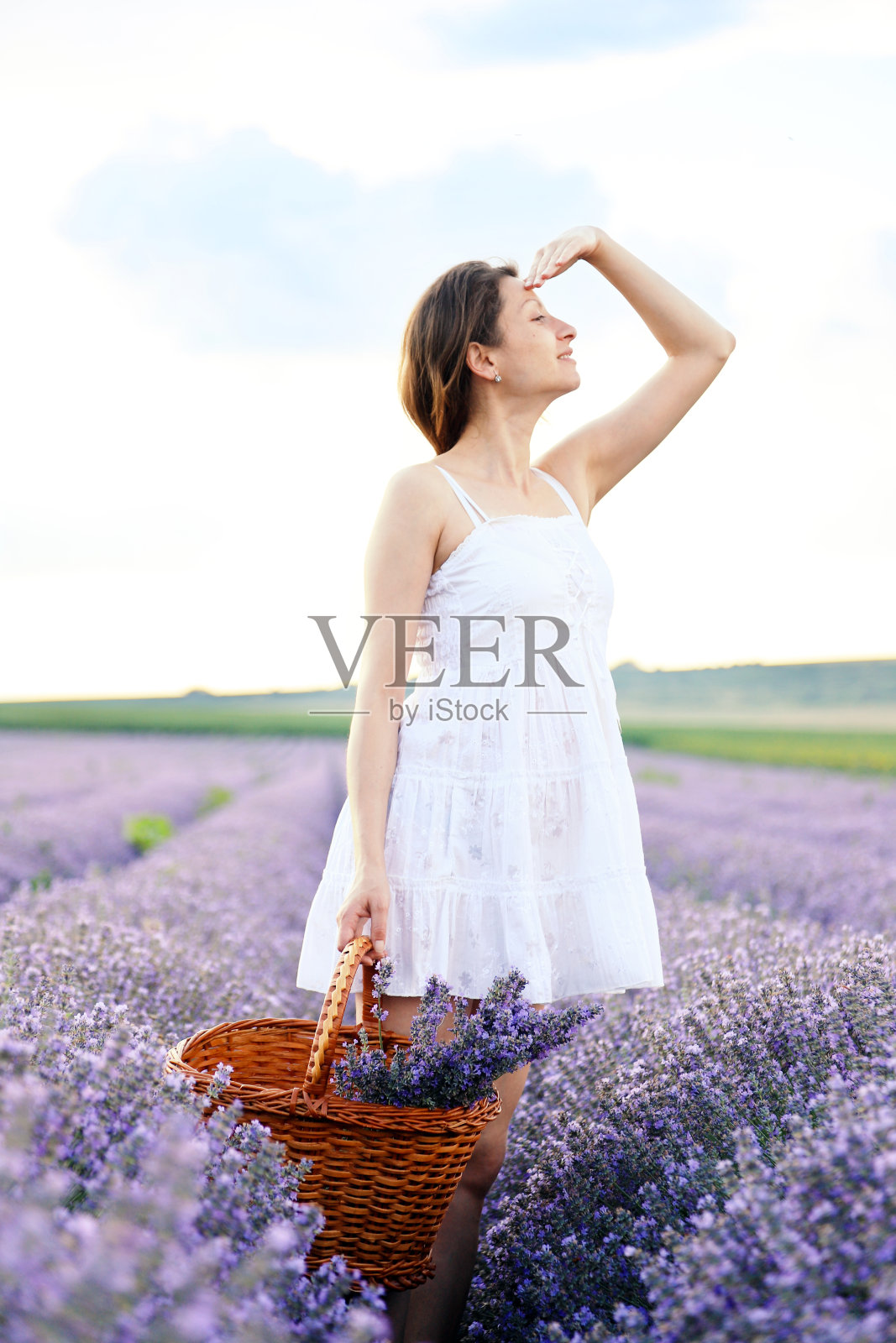 身着白裙的孕妇站在薰衣草地里照片摄影图片