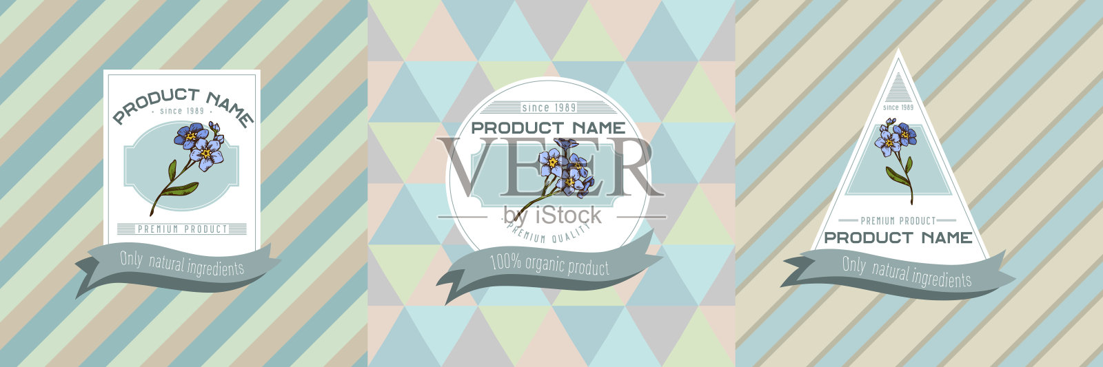 三种颜色的标签与插图勿忘我花插画图片素材