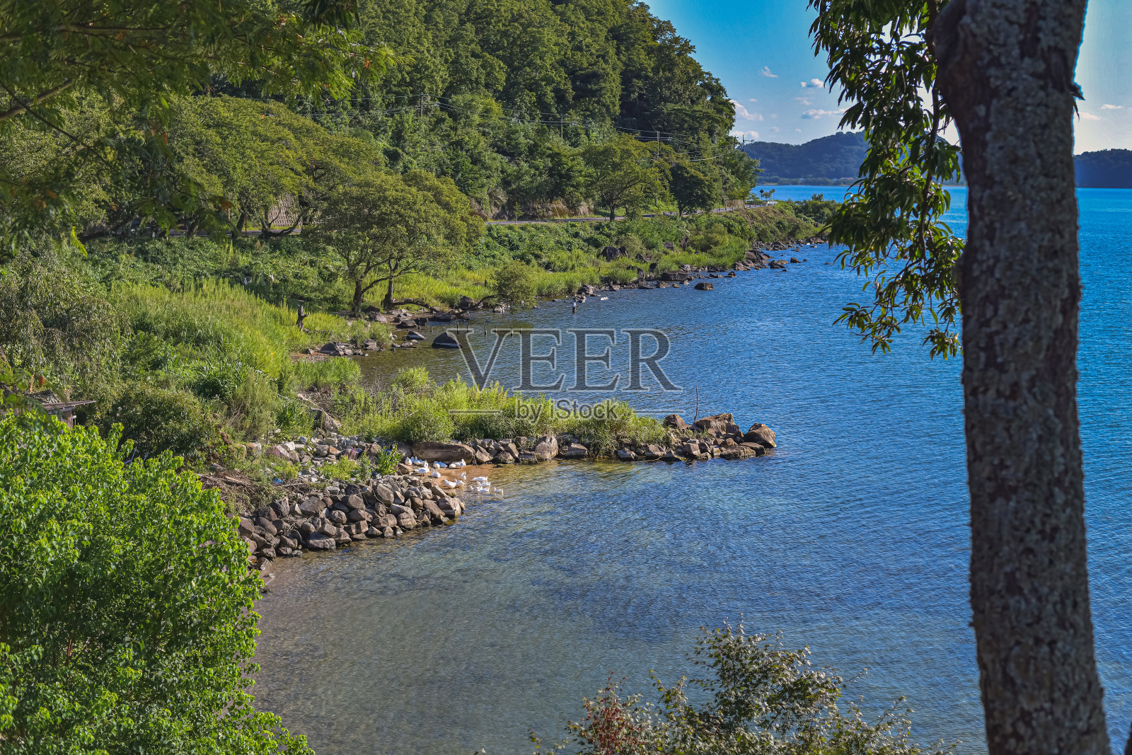 日本琵琶湖照片摄影图片