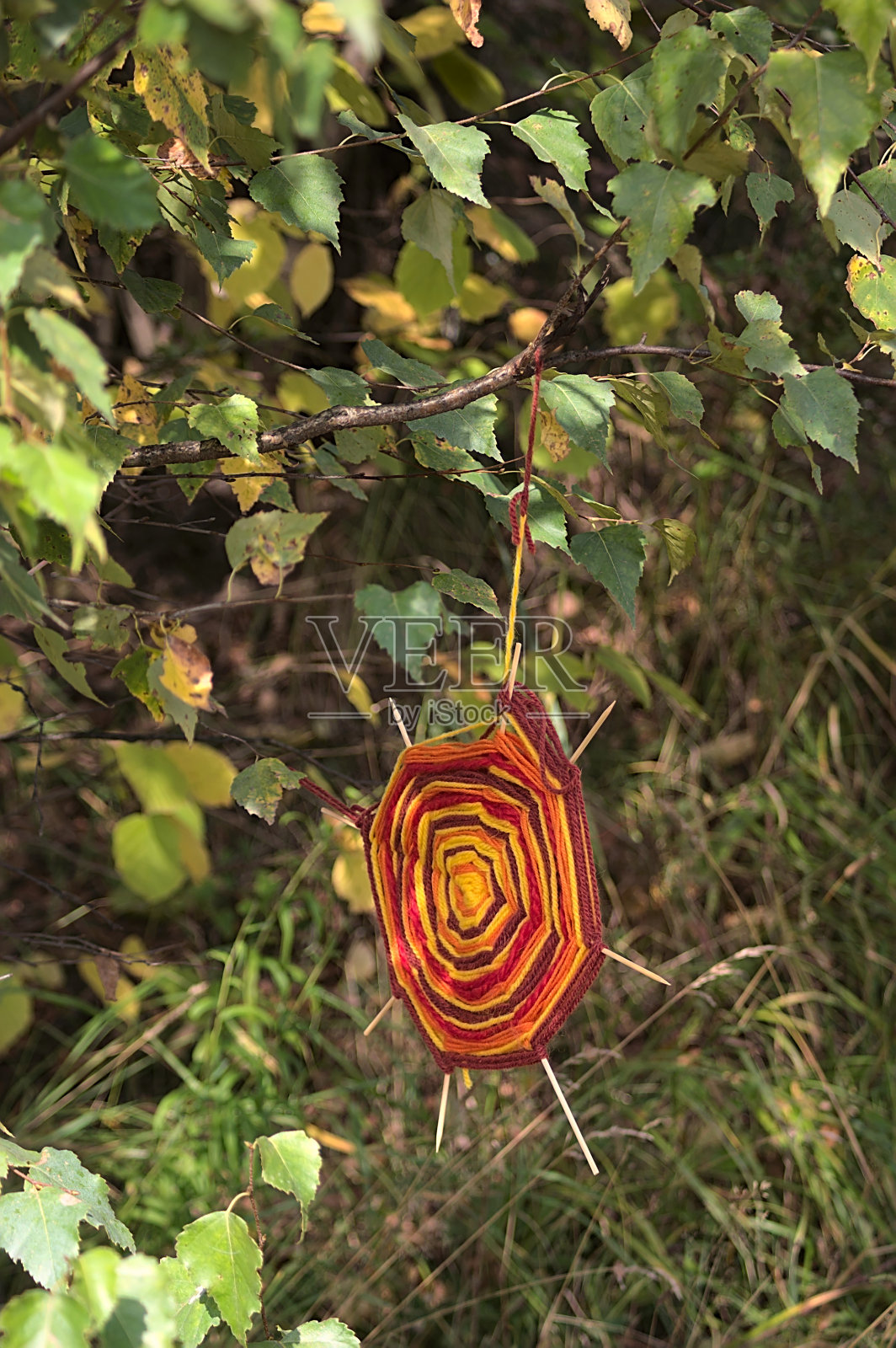 树枝上的护身符“捕梦网”照片摄影图片