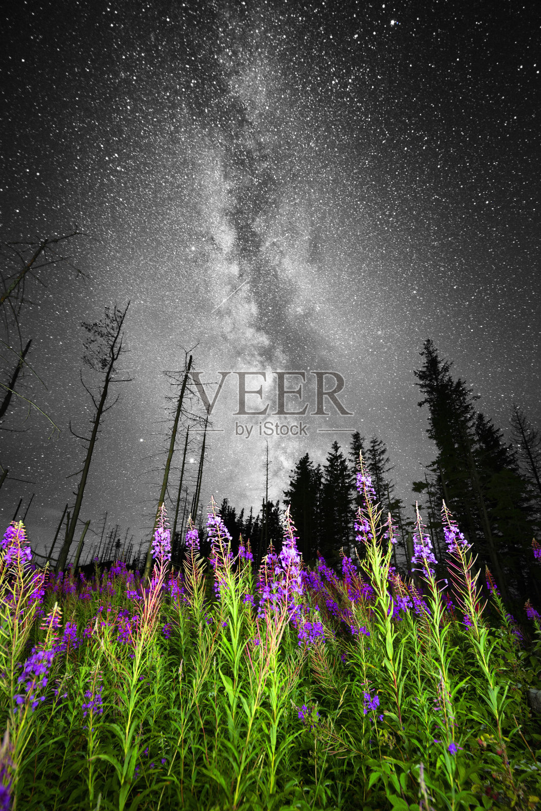 晚上的银河烟火场照片摄影图片