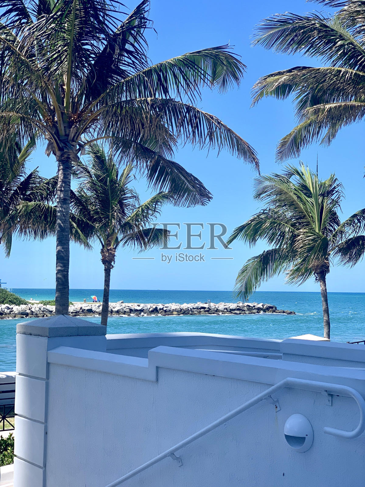 蔚蓝的海洋，棕榈树和阳光明媚的日子照片摄影图片