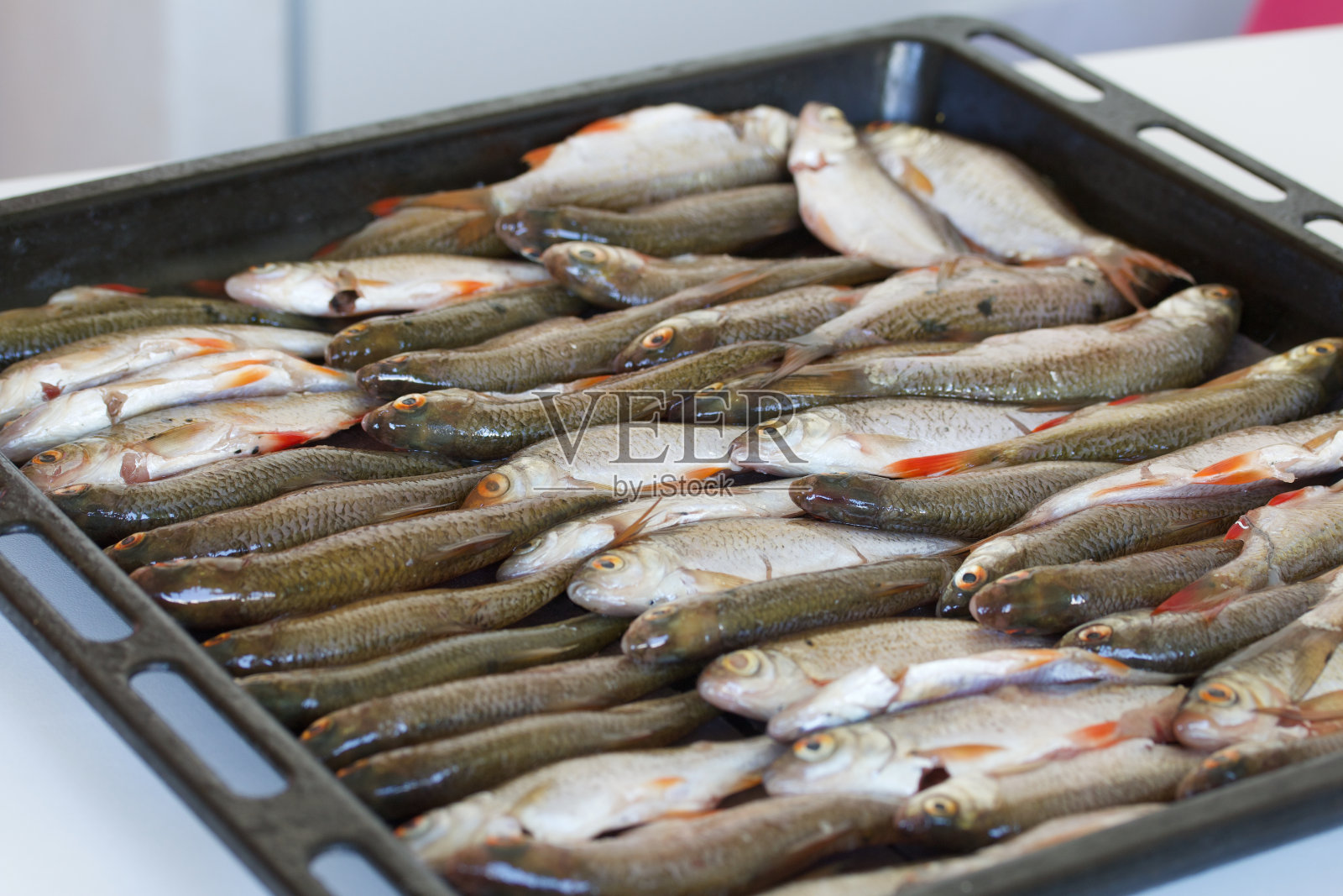 烤盘里放河鱼，然后放入烤箱烘干。鱼排成一行，特写镜头。照片摄影图片