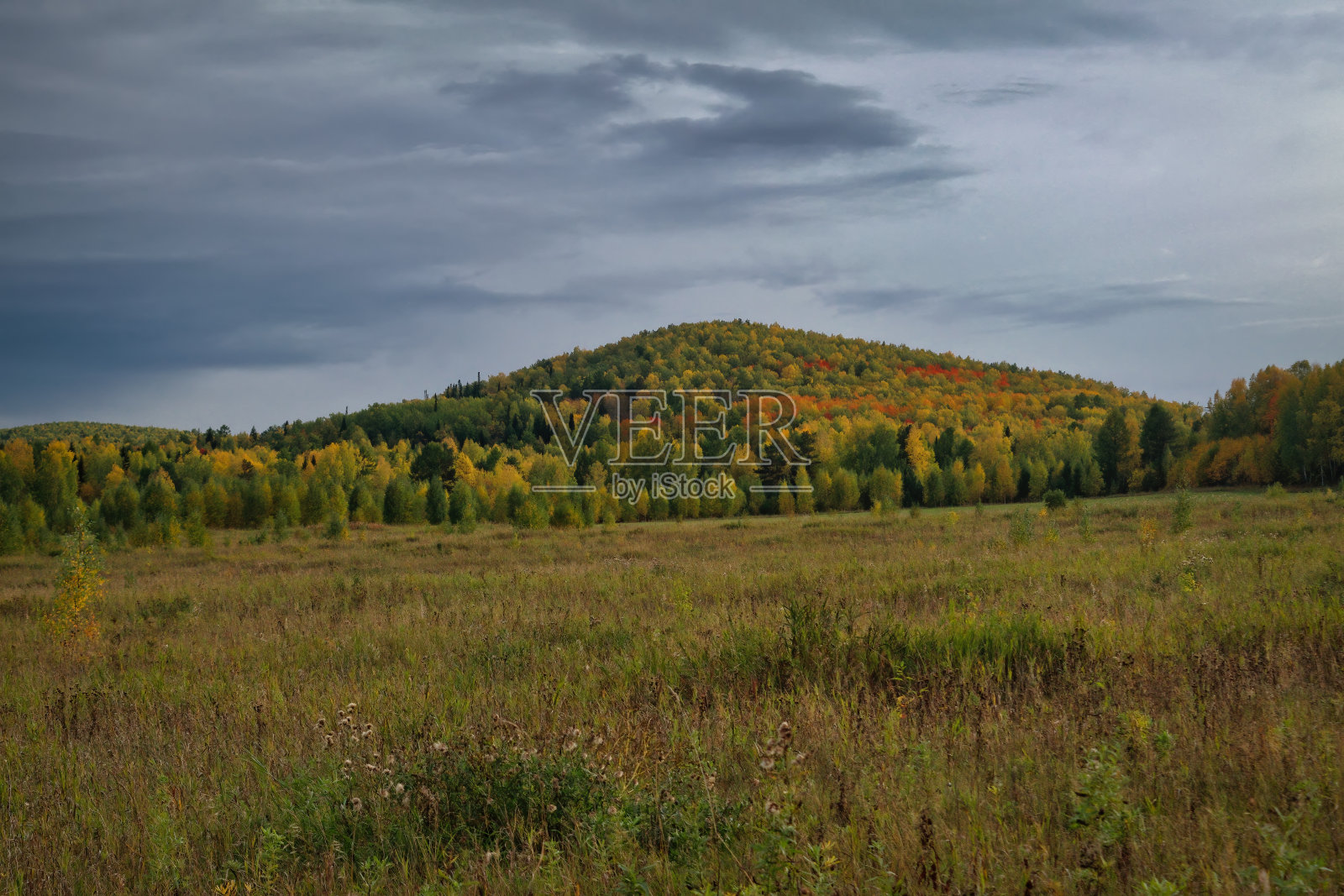 壮丽的日落在山森林。戏剧性的天空。乌拉尔山脉。照片摄影图片