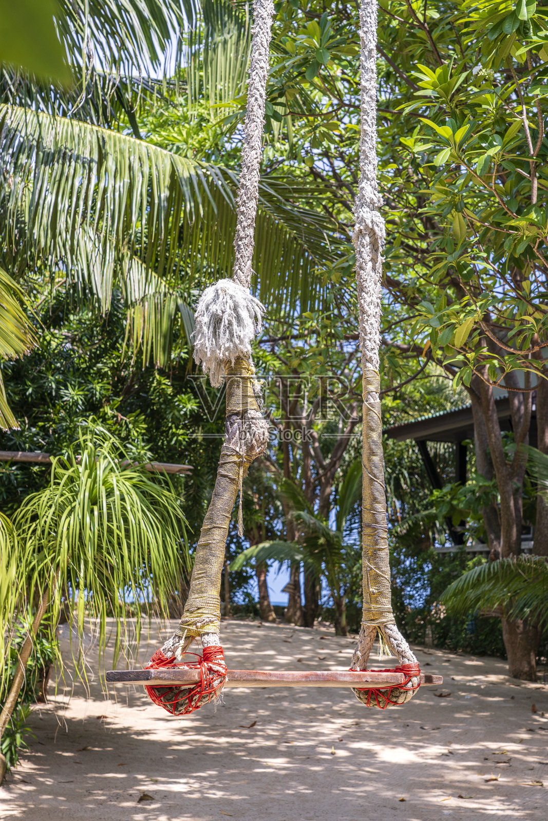秋千悬挂在热带树上，在泰国花园沙滩上。夏季，旅游，假期和假日概念照片摄影图片