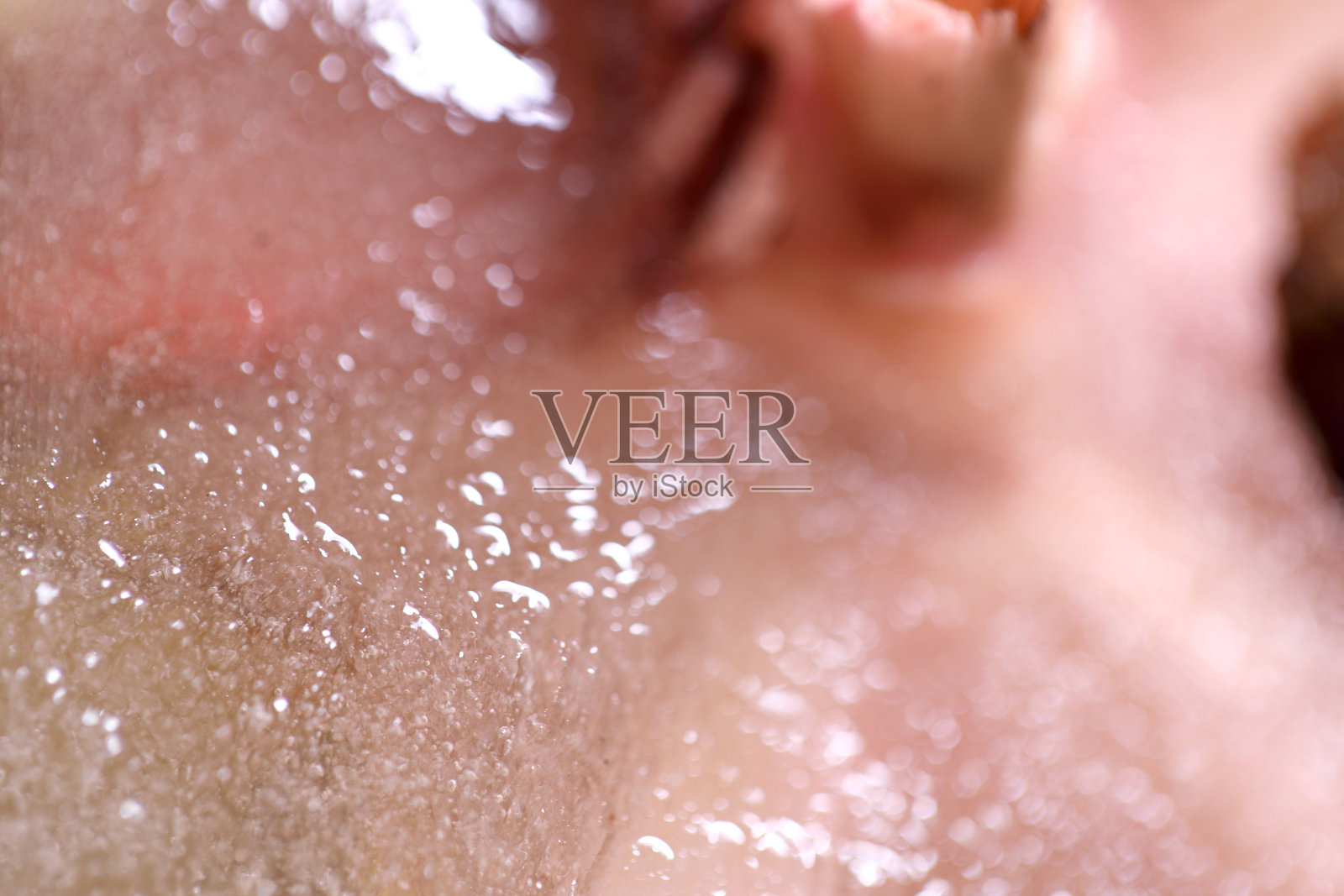 自然照片摄影图片