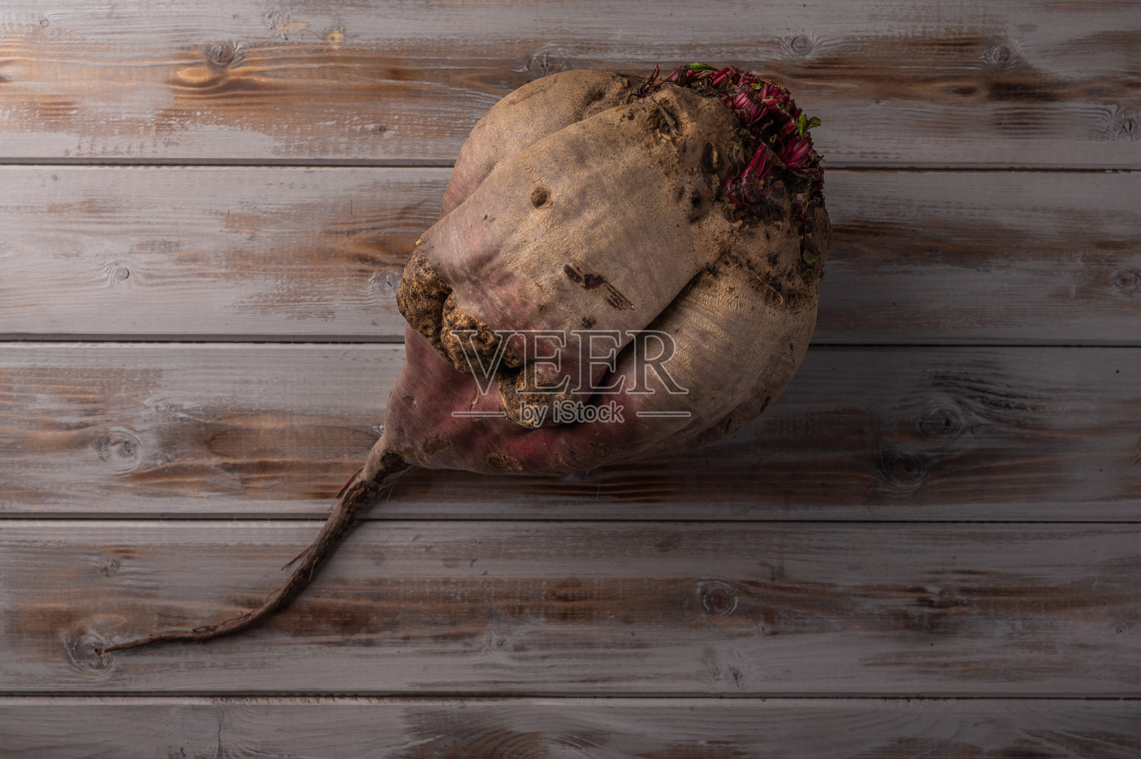 大的丑陋的有机成熟甜菜根在一个木制的背景上，特写照片摄影图片