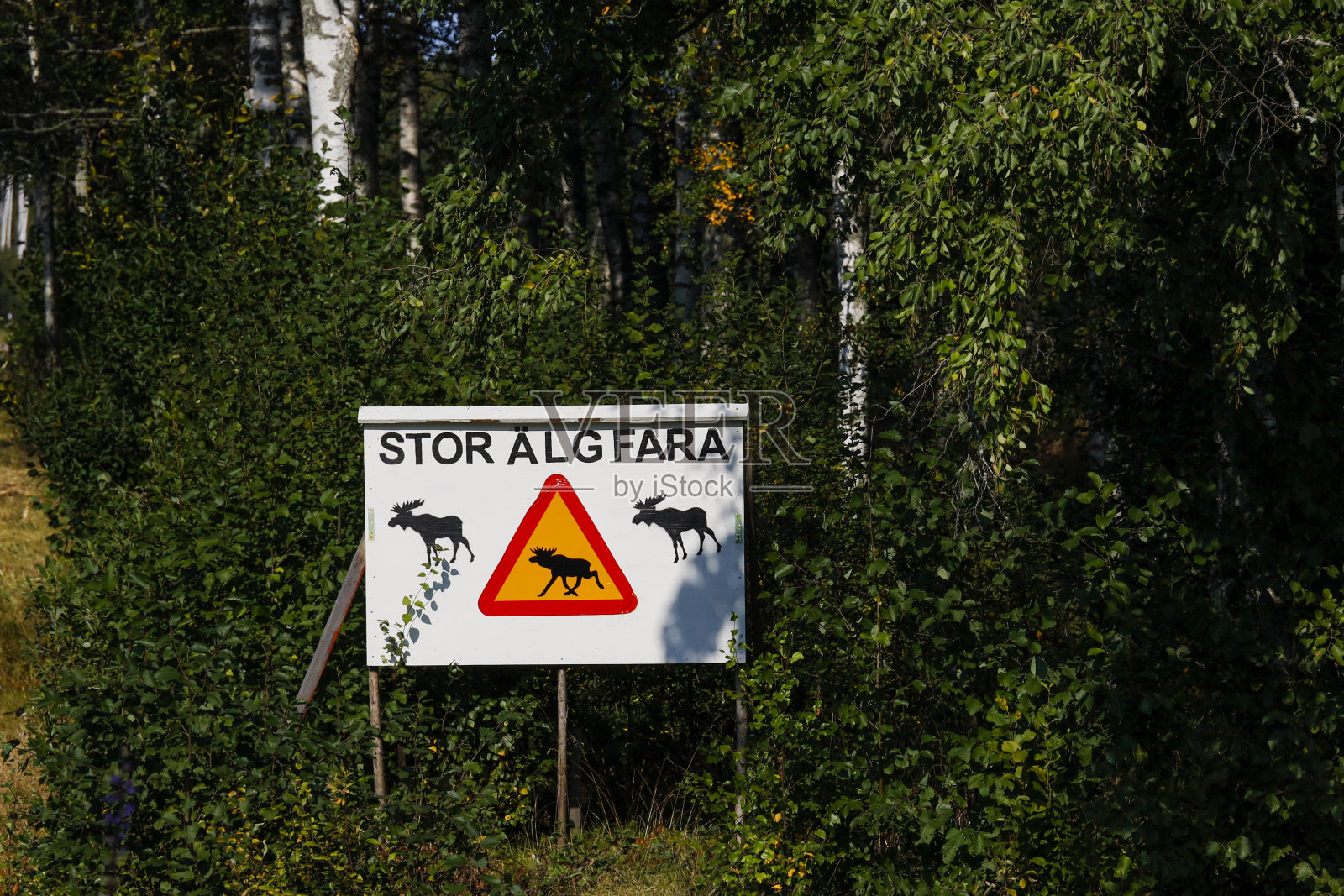 托,瑞典照片摄影图片