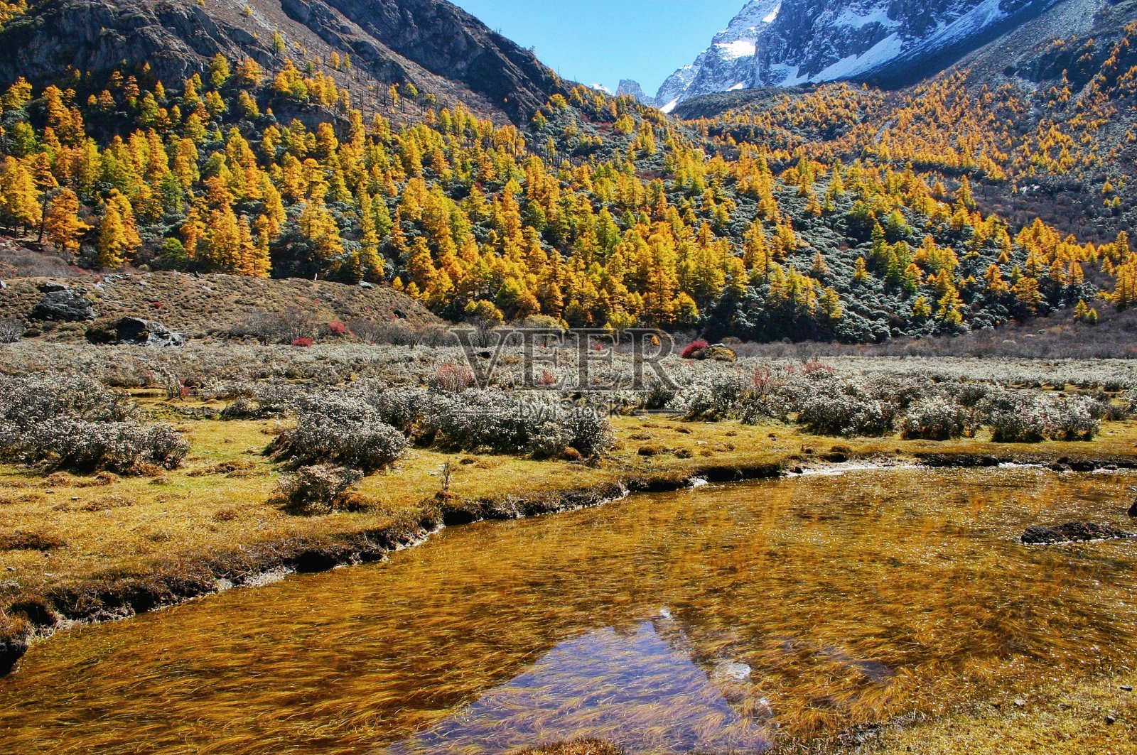 美丽的山景照片摄影图片