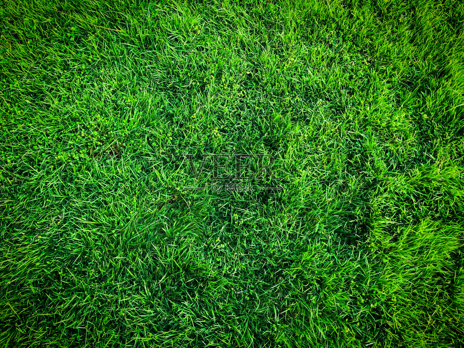 绿草纹理背景照片摄影图片
