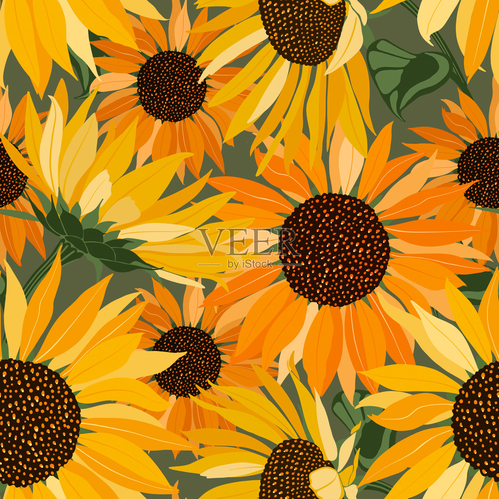 大的黄色向日葵花图案在绿色的背景上插画图片素材