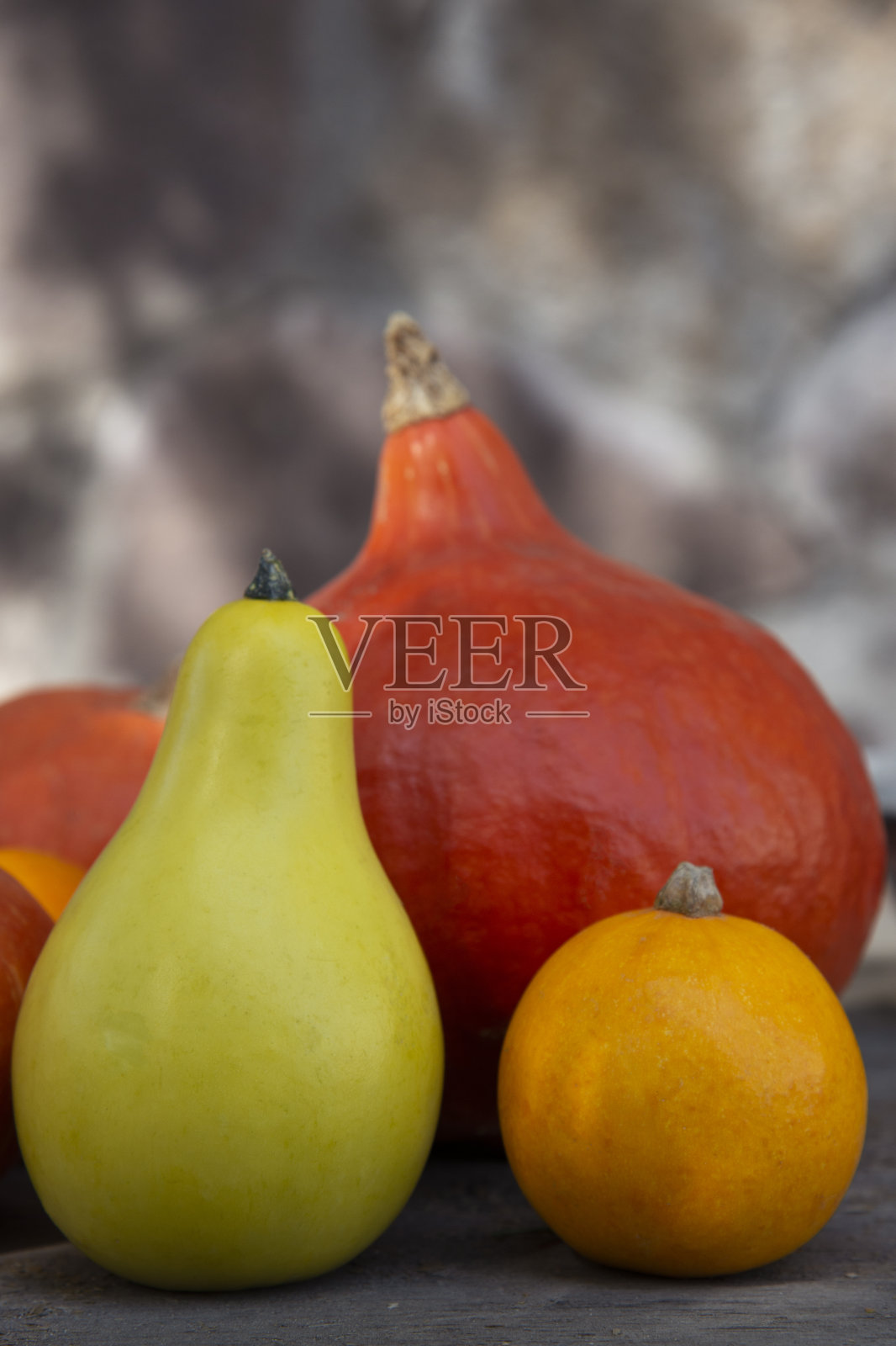 三个彩色的南瓜在阳光下的深色墙壁的背景上照片摄影图片