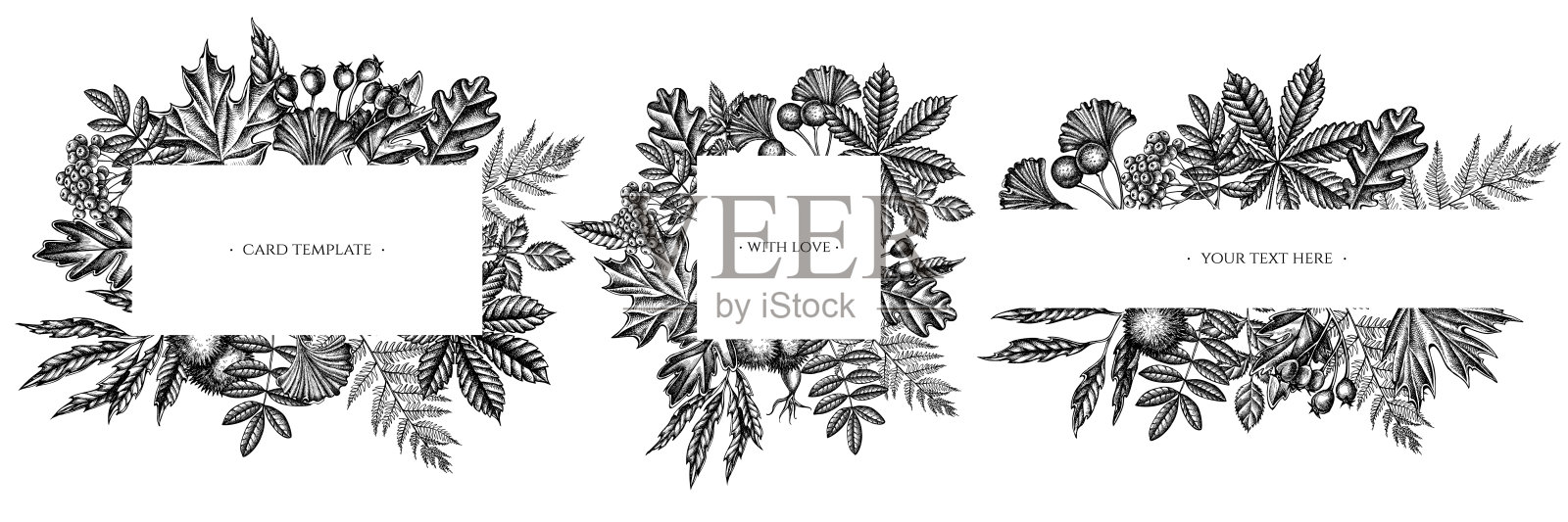 框架与黑色和白色蕨类，狗玫瑰，花，银杏，枫，橡树，栗子，栗子，山楂插画图片素材