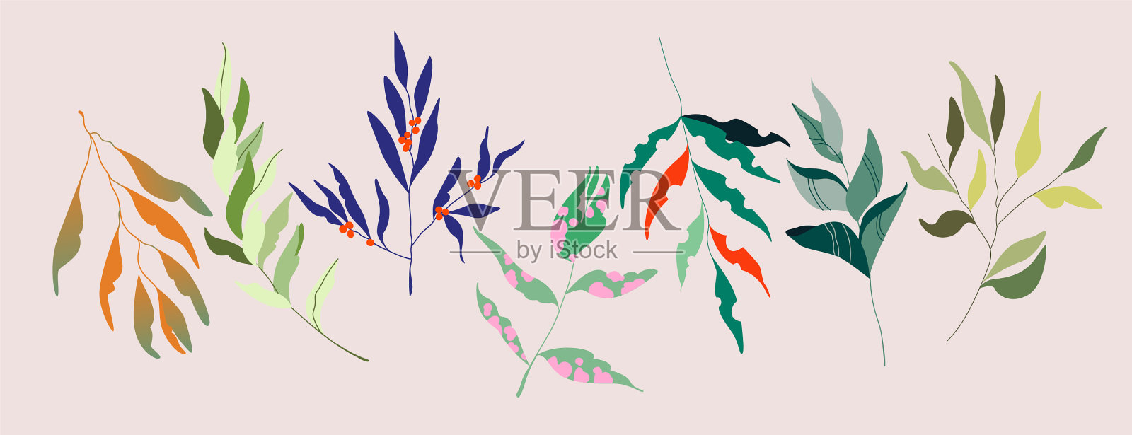 花朵优雅柔美，枝头柔美插画图片素材