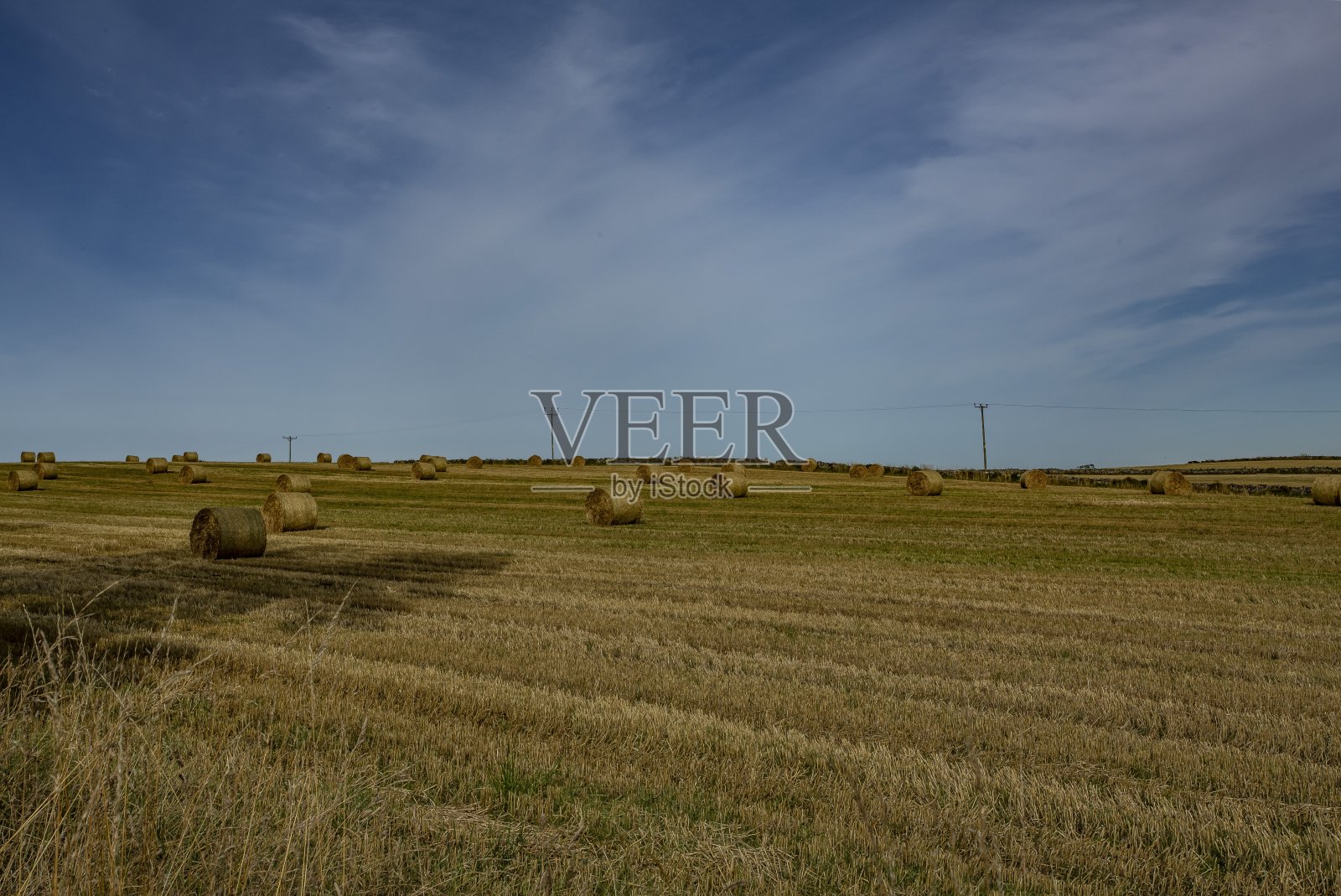 圆形干草捆的土地。照片摄影图片