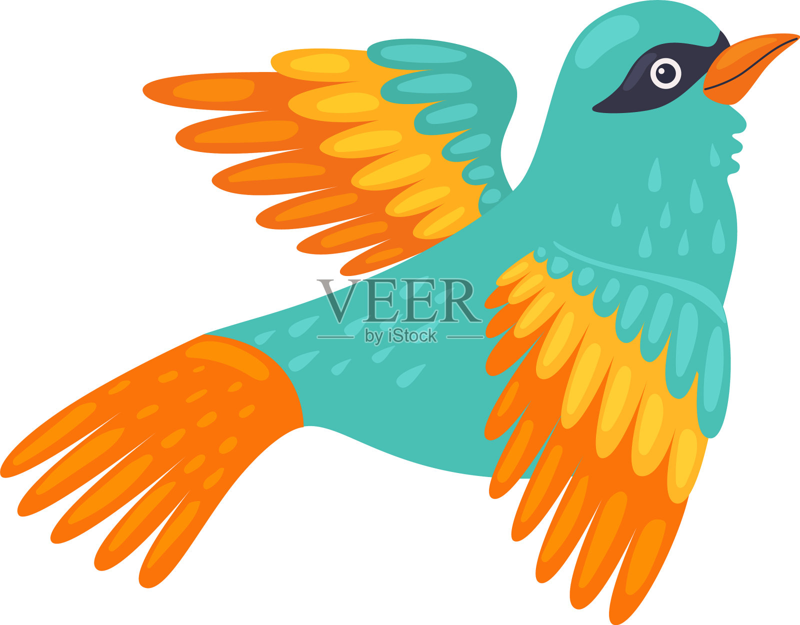 热带鸟类美丽的小鸟与明亮设计元素图片