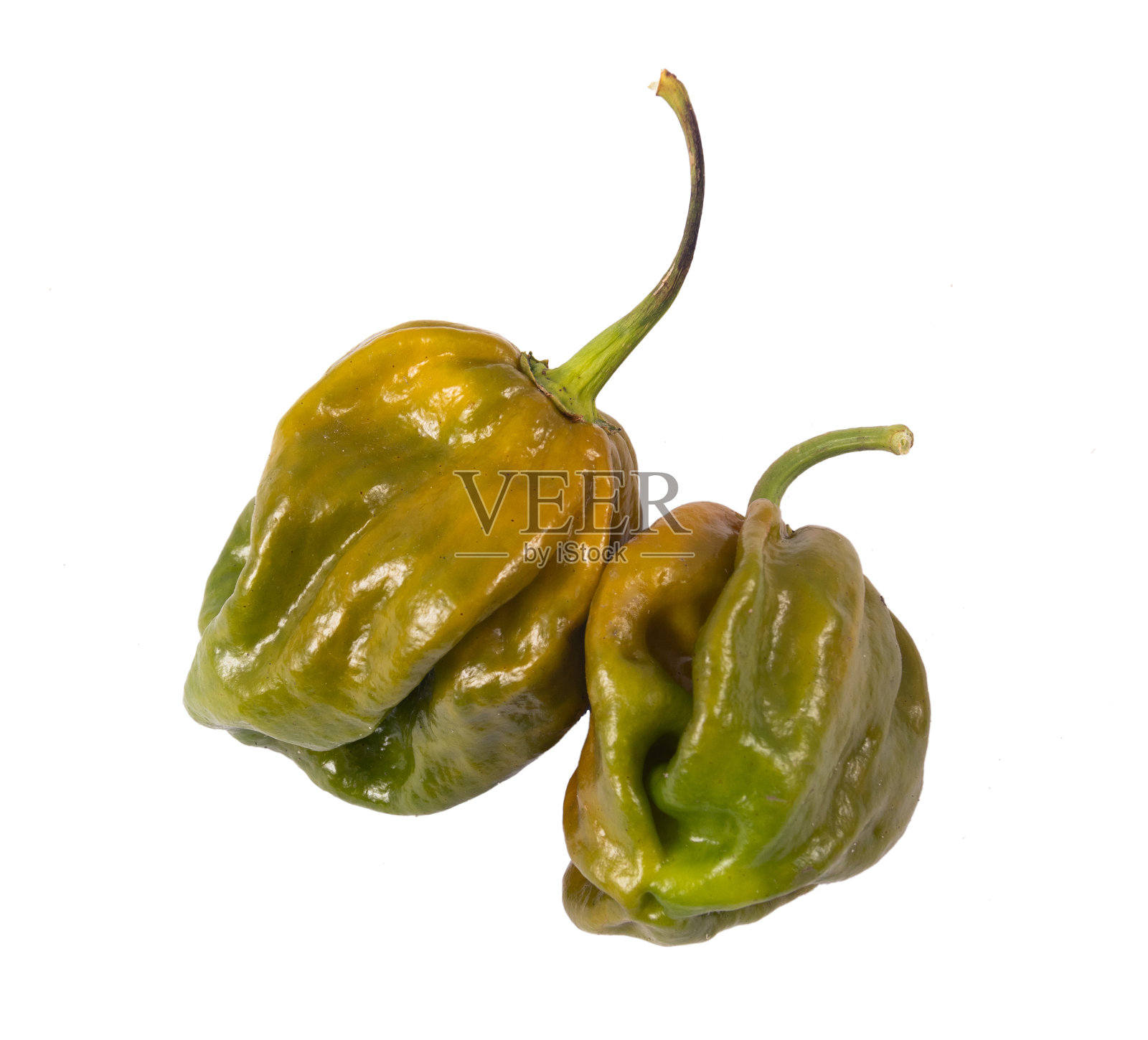 白色背景上的常绿7锅辣椒荚照片摄影图片