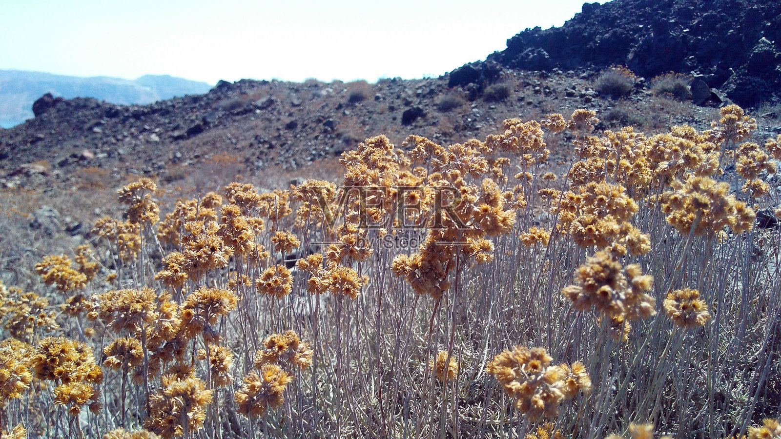 圣托里尼火山的火山口照片摄影图片