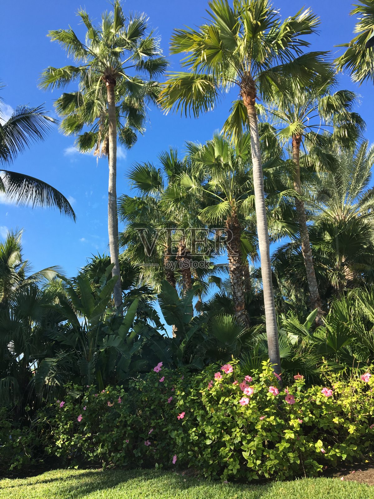 假期的目标照片摄影图片