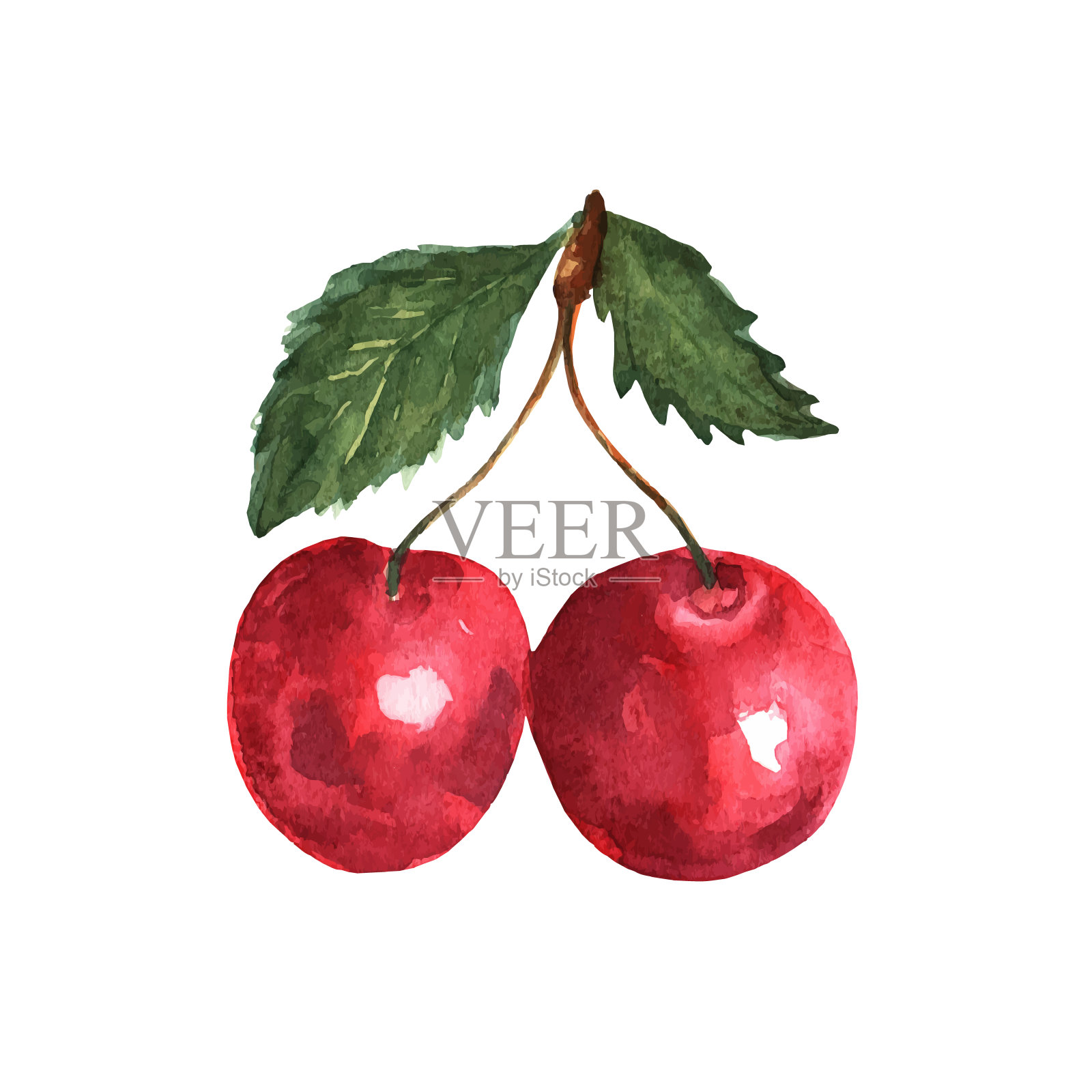 水彩浆果。以草莓，黑莓，樱桃和蓝莓，花和叶子为背景，色彩丰富。自然的插图。春天开花。收集印刷品和卡片插画图片素材