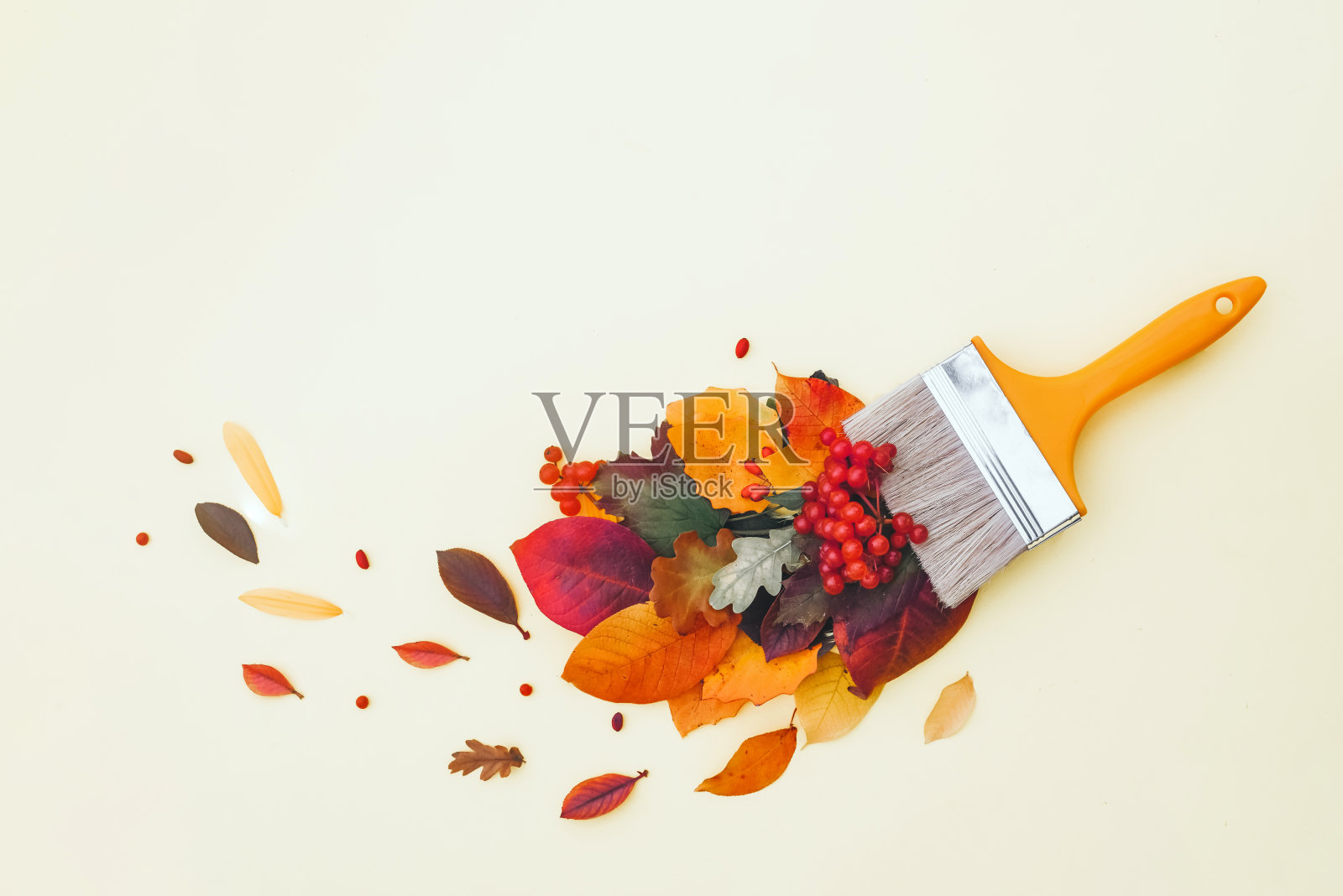 用五彩缤纷的秋叶笔画，创意秋色，落叶落照片摄影图片