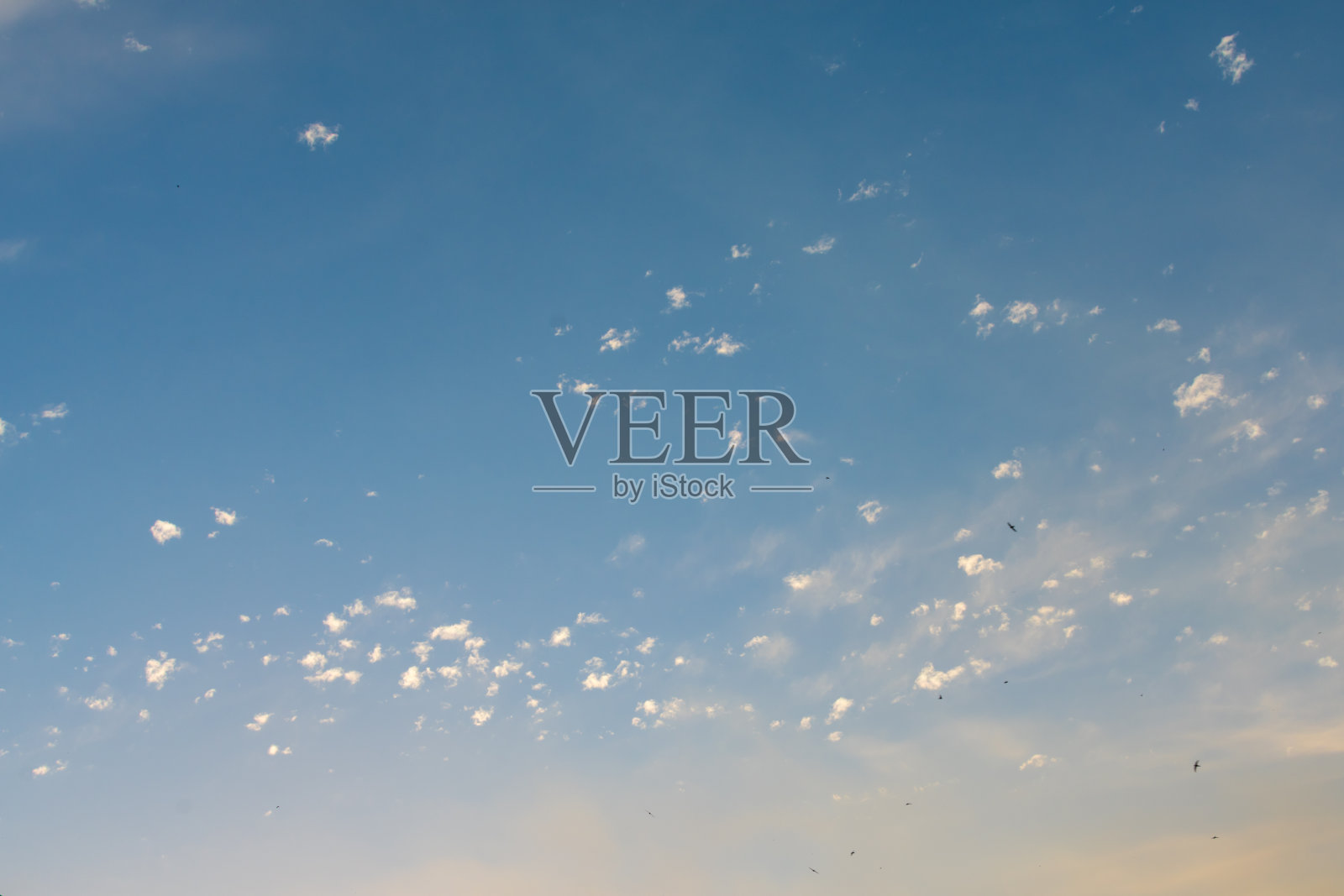 蓝色的天空上飘着小小的羽毛云。照片摄影图片