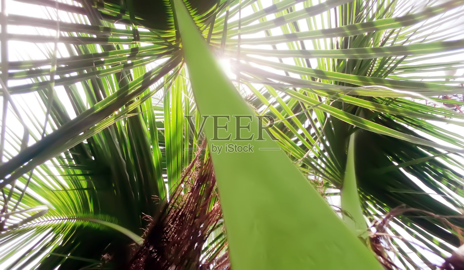 失败阴影照片摄影图片