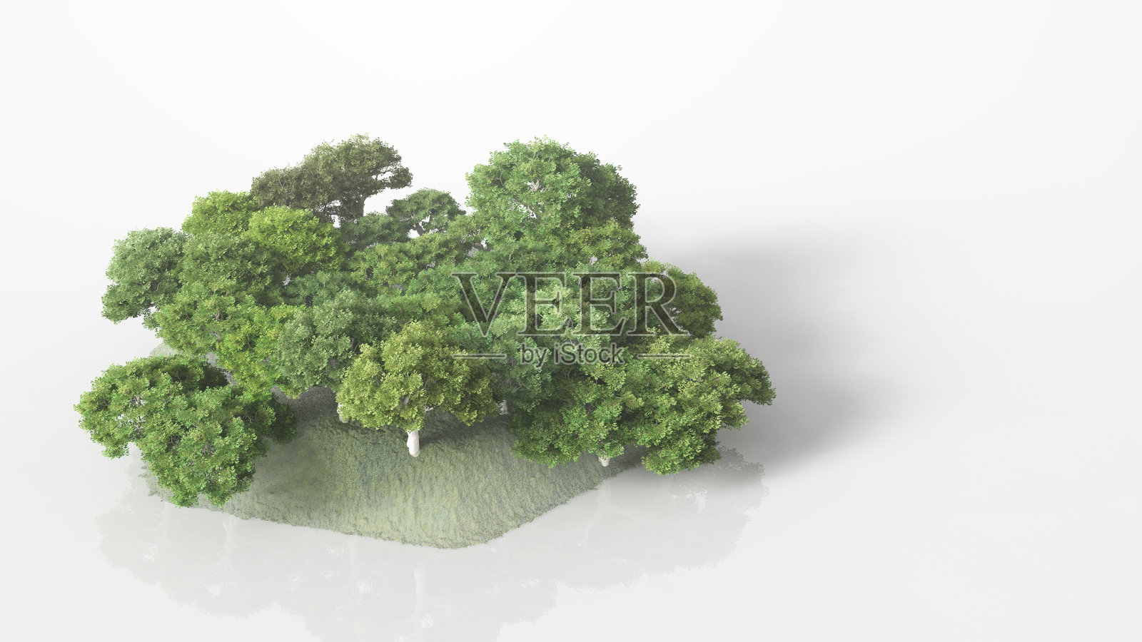 一个在树荫下地形凉爽的微型花园。3 d渲染。白色背景。照片摄影图片