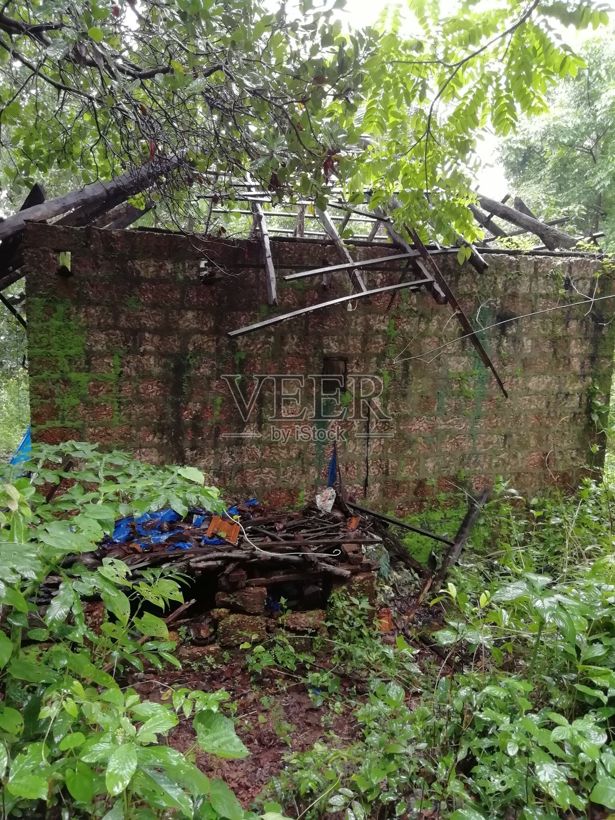 喀拉拉邦农村房屋因自然灾害倒塌照片摄影图片