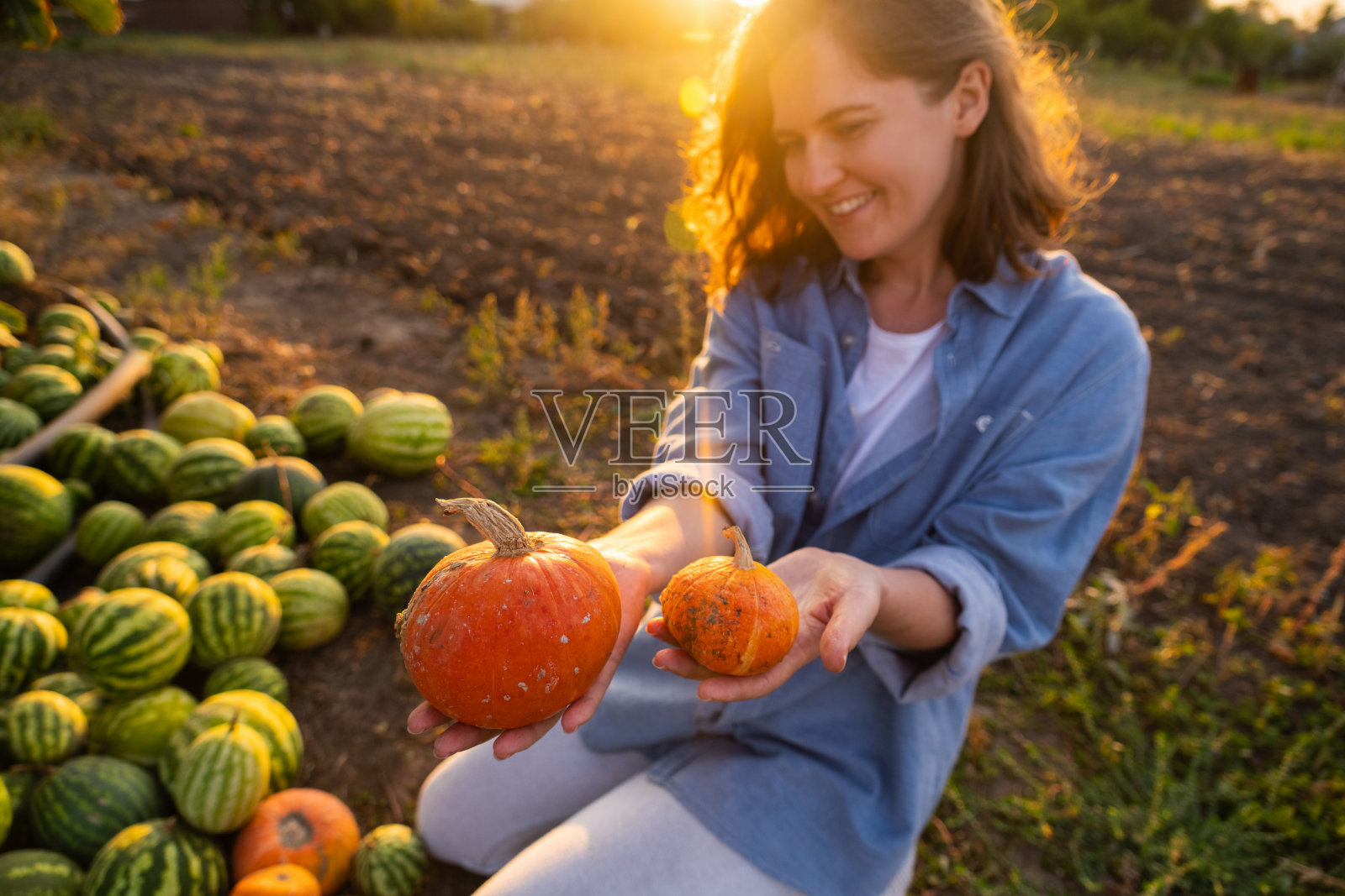 农民的南瓜照片摄影图片