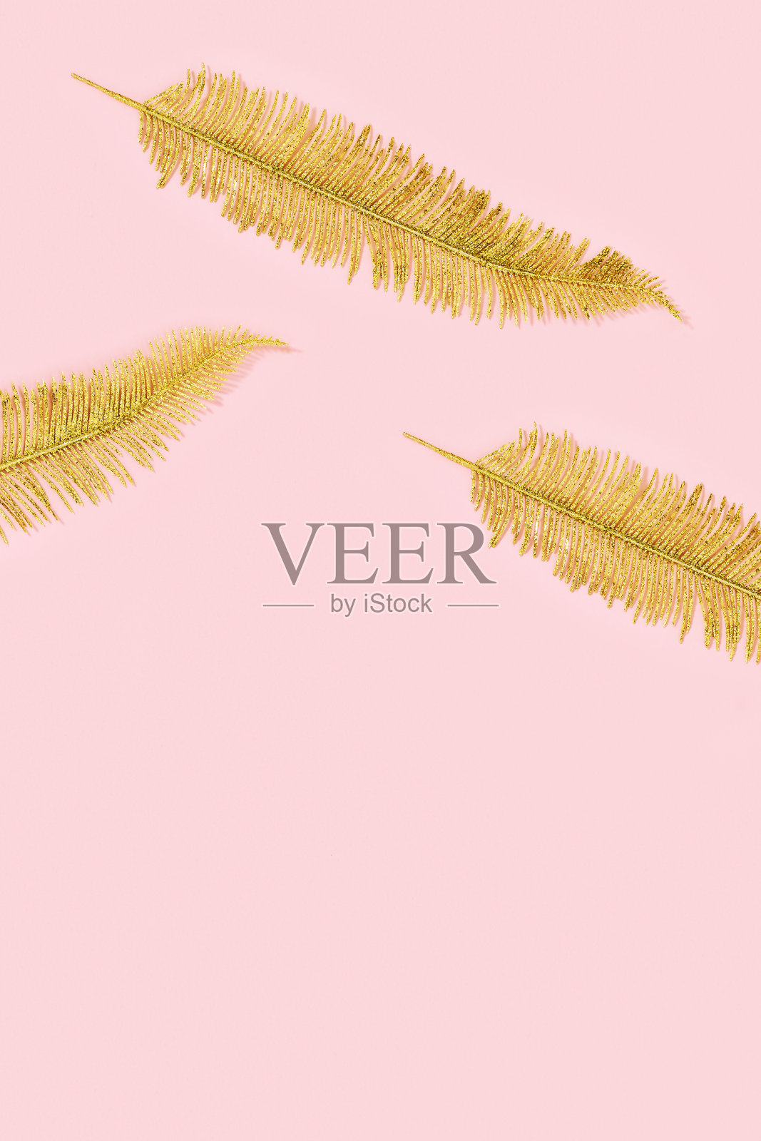 装饰金蕨叶用于请柬、婚礼贺卡、情人节贺卡照片摄影图片