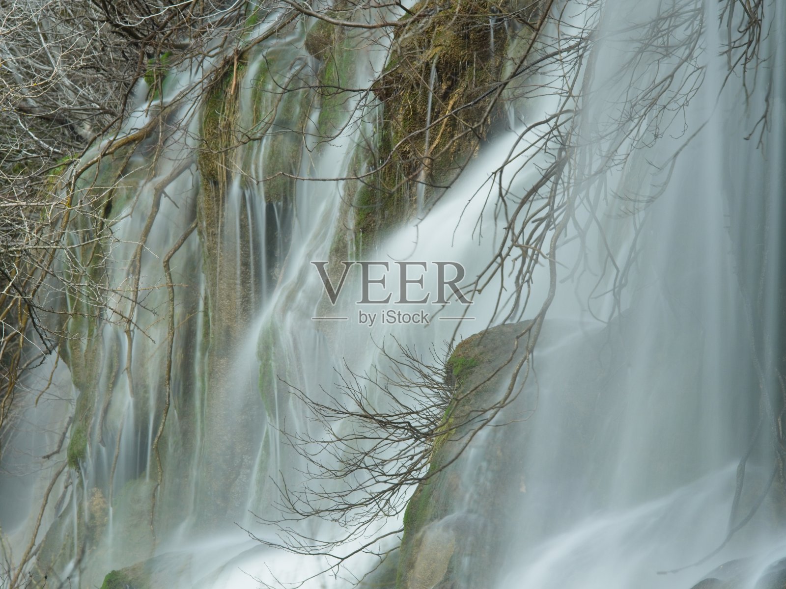 柔滑的水落在树枝间。照片摄影图片