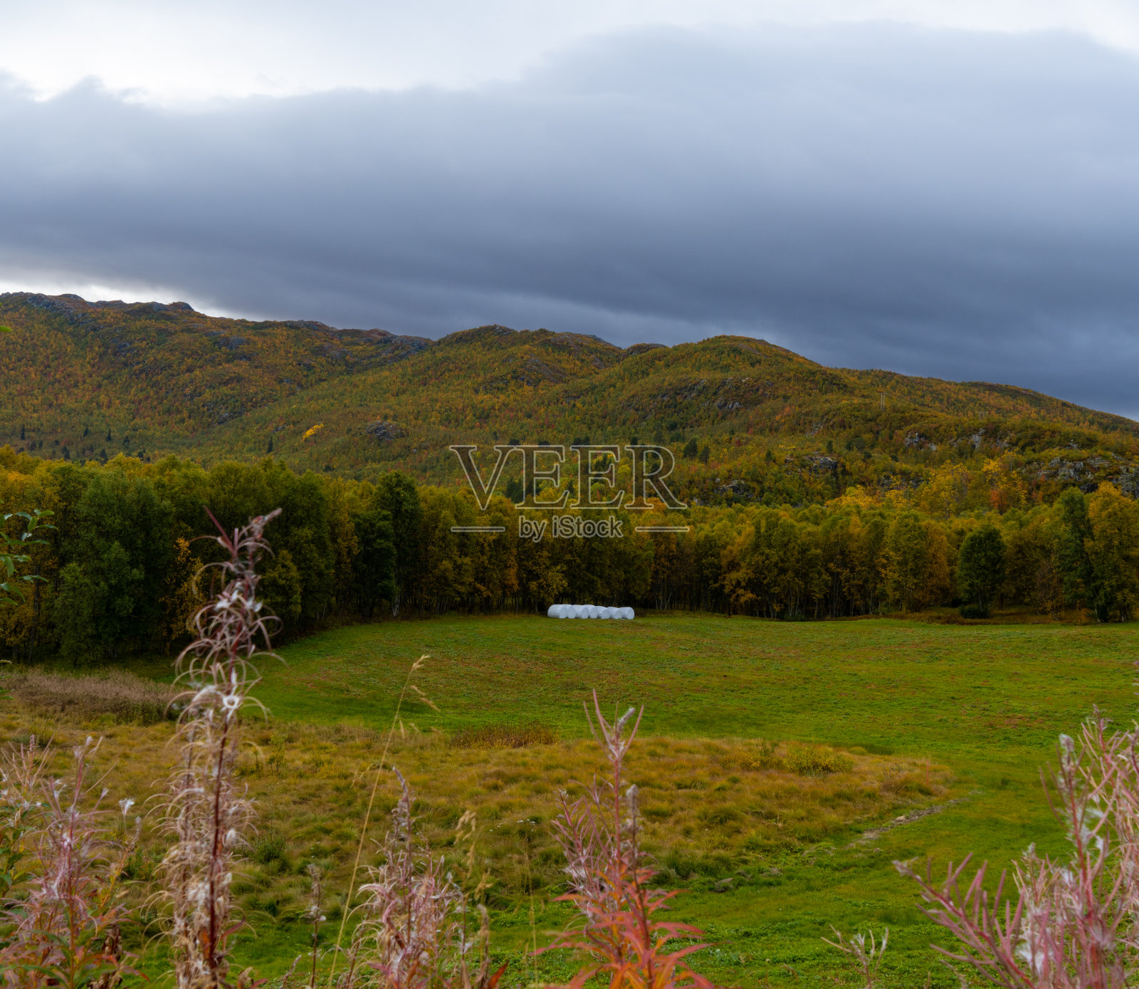 挪威盖洛附近的布斯克鲁德地区的乌斯特达尔峡湾的秋色照片摄影图片