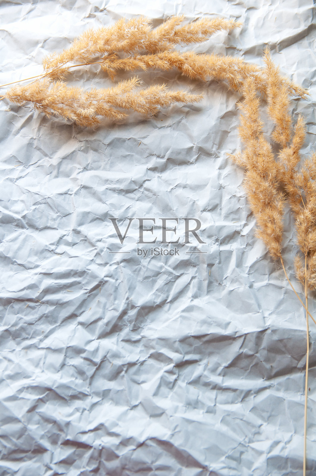 干花躺在灰色皱巴巴的纸上照片摄影图片