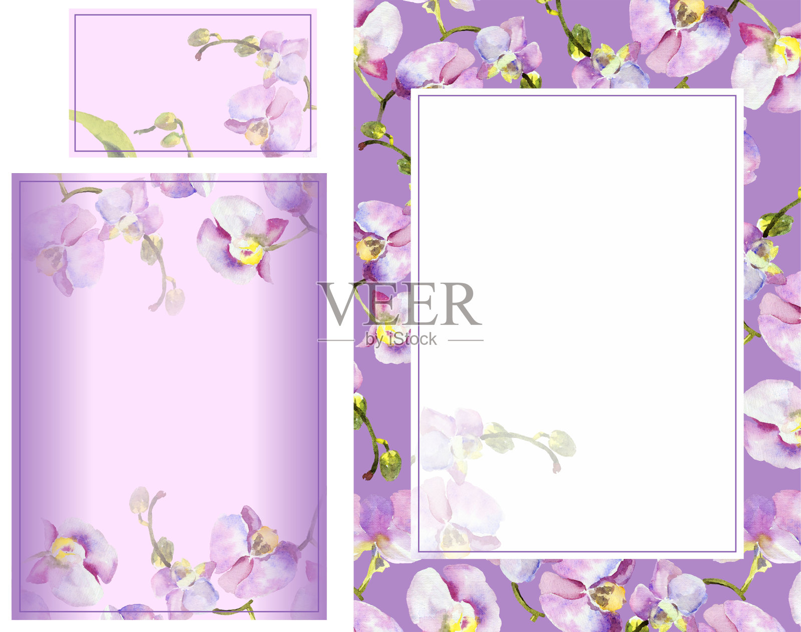 手绘水彩兰花。婚礼浪漫集，纸，白，卡，请帖插画图片素材