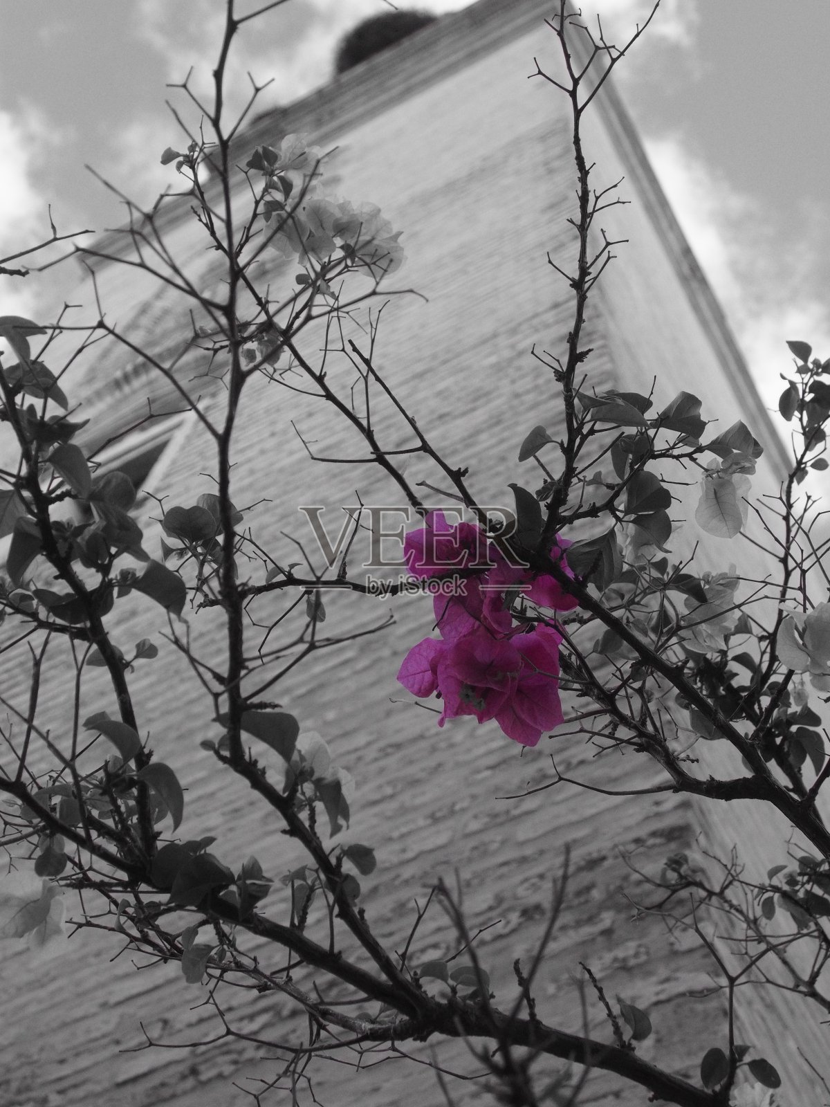 圣玛丽亚玛格达莱娜教堂照片摄影图片