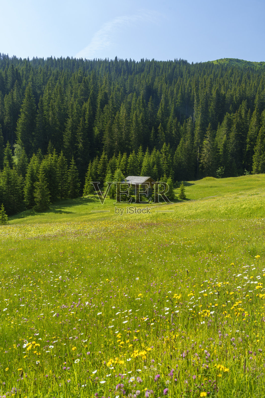 通往Campolongo隘口的山路风景，Dolomites照片摄影图片
