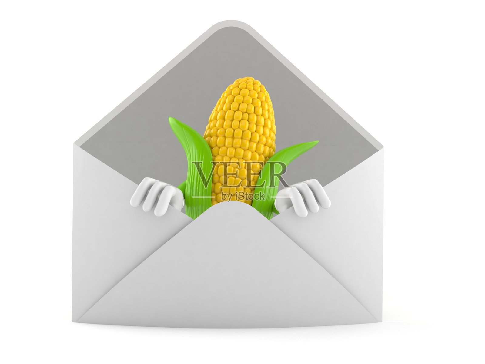 玉米性状内包膜照片摄影图片