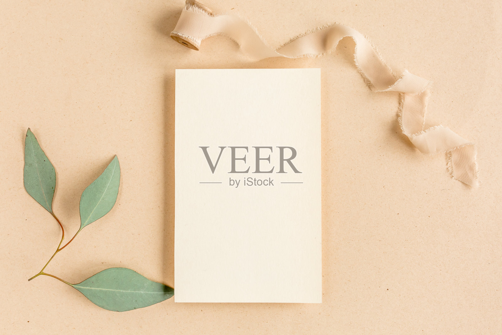 模拟邀请，空白贺卡和绿叶桉树。平躺，俯视图照片摄影图片