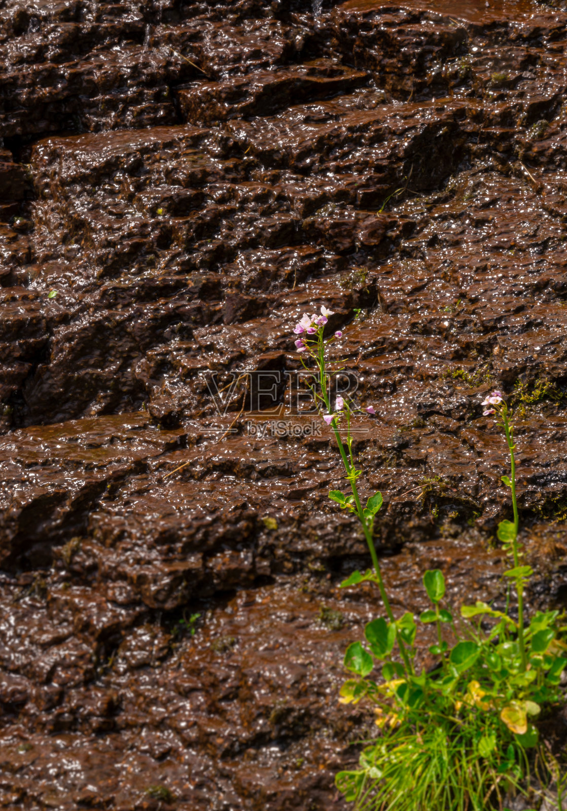 特斯科山上的瀑布照片摄影图片