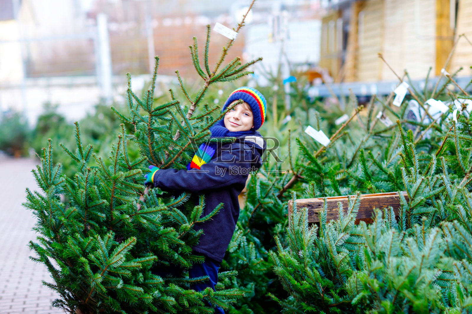 可爱的小男孩微笑着拿着圣诞树在市场上。快乐健康的孩子在冬天的时尚衣服在户外商店选购大圣诞树。家庭、传统庆祝活动。照片摄影图片