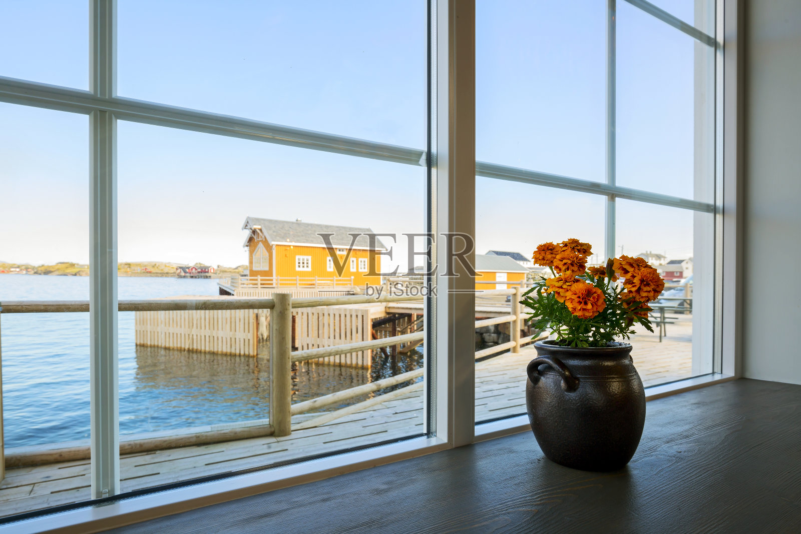 靠近窗户的黄色花朵的特写，背景是挪威罗托藤sakrisoy的黄色rorbu照片摄影图片