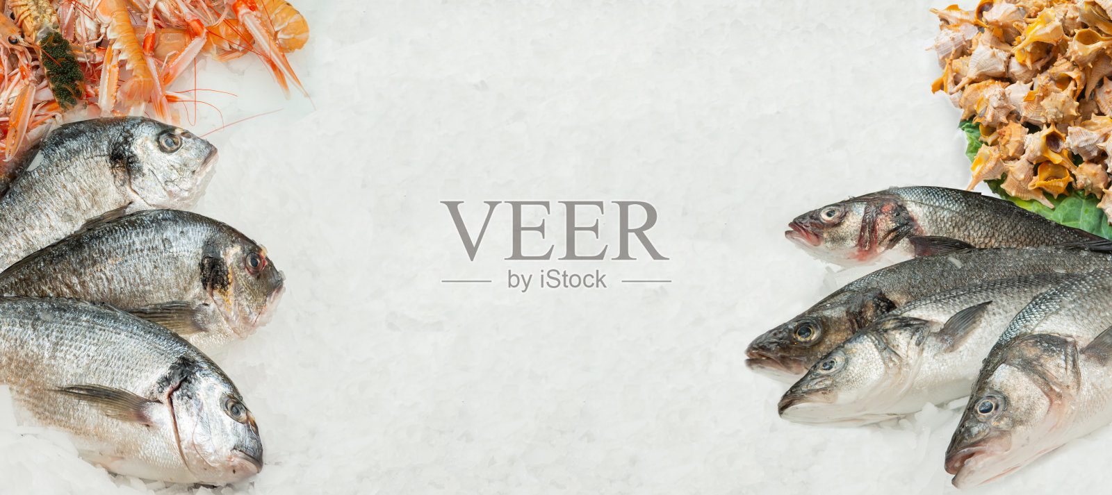 空冰背景与海鲷，海鲈鱼，对虾和活瓣在图像的两侧照片摄影图片