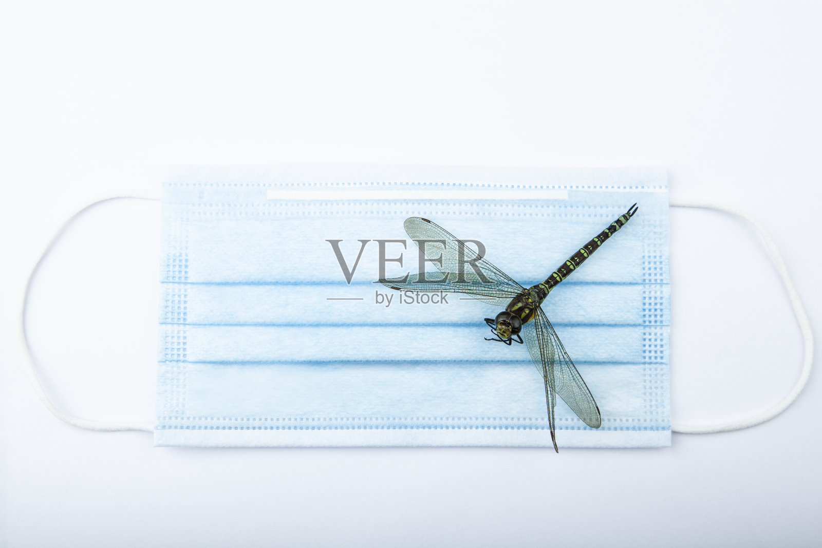 图像的面具蜻蜓白色的背景照片摄影图片