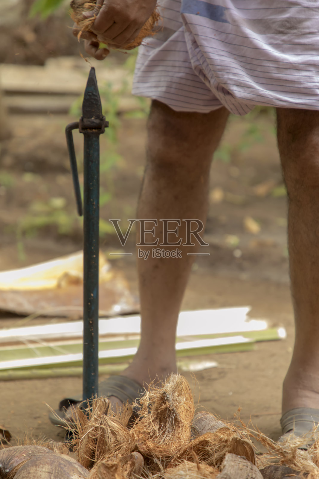 男子用旧刀打开椰子壳，特写照片摄影图片