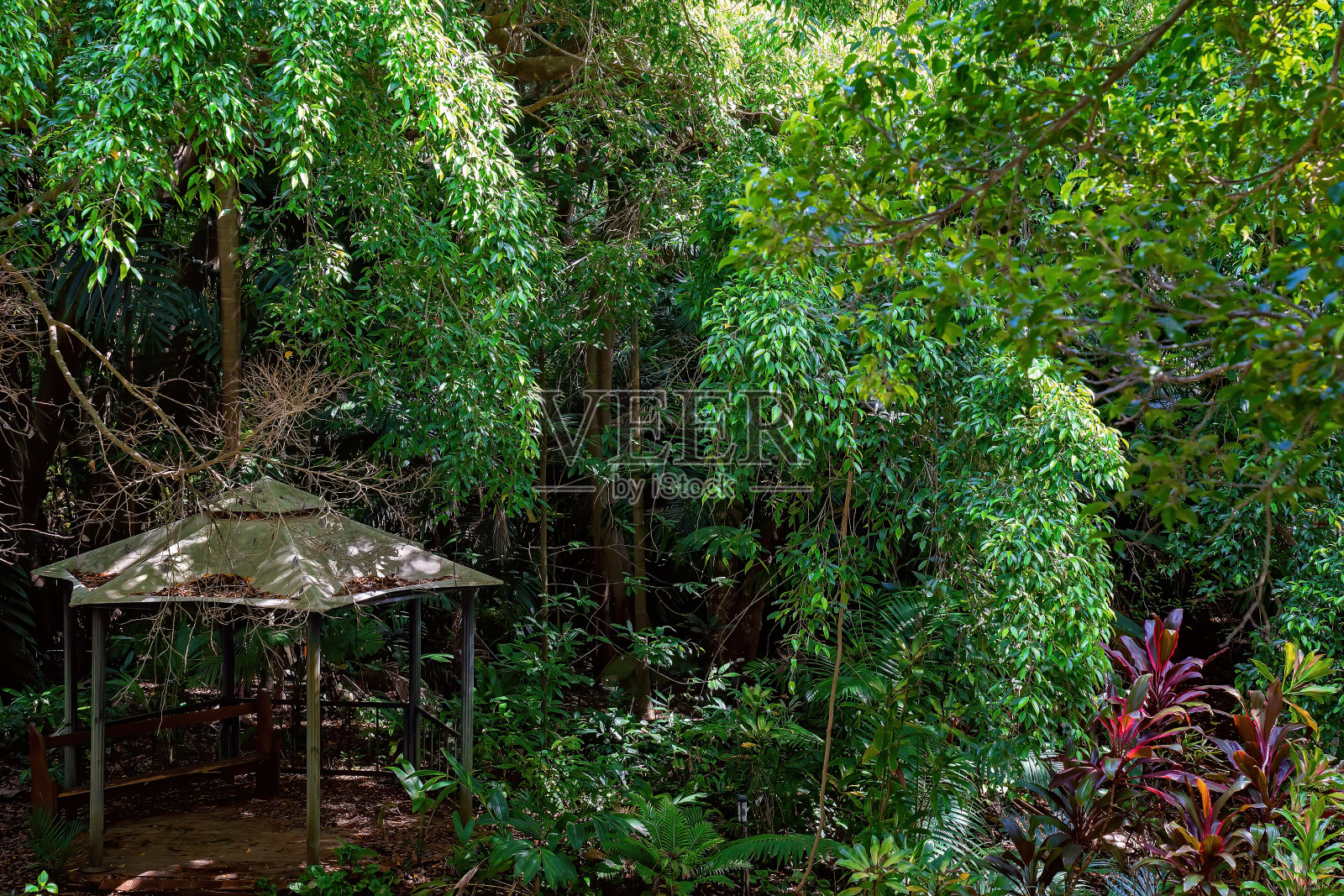 一个国家的花园照片摄影图片
