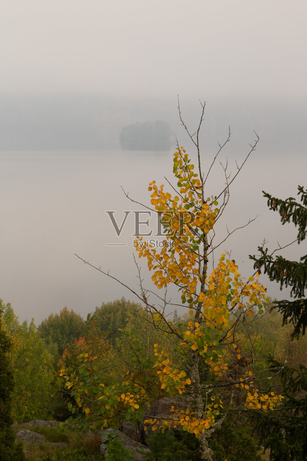 风景优美的湖景与日出，岛屿和雾的心情在美丽的秋天早晨在芬兰照片摄影图片